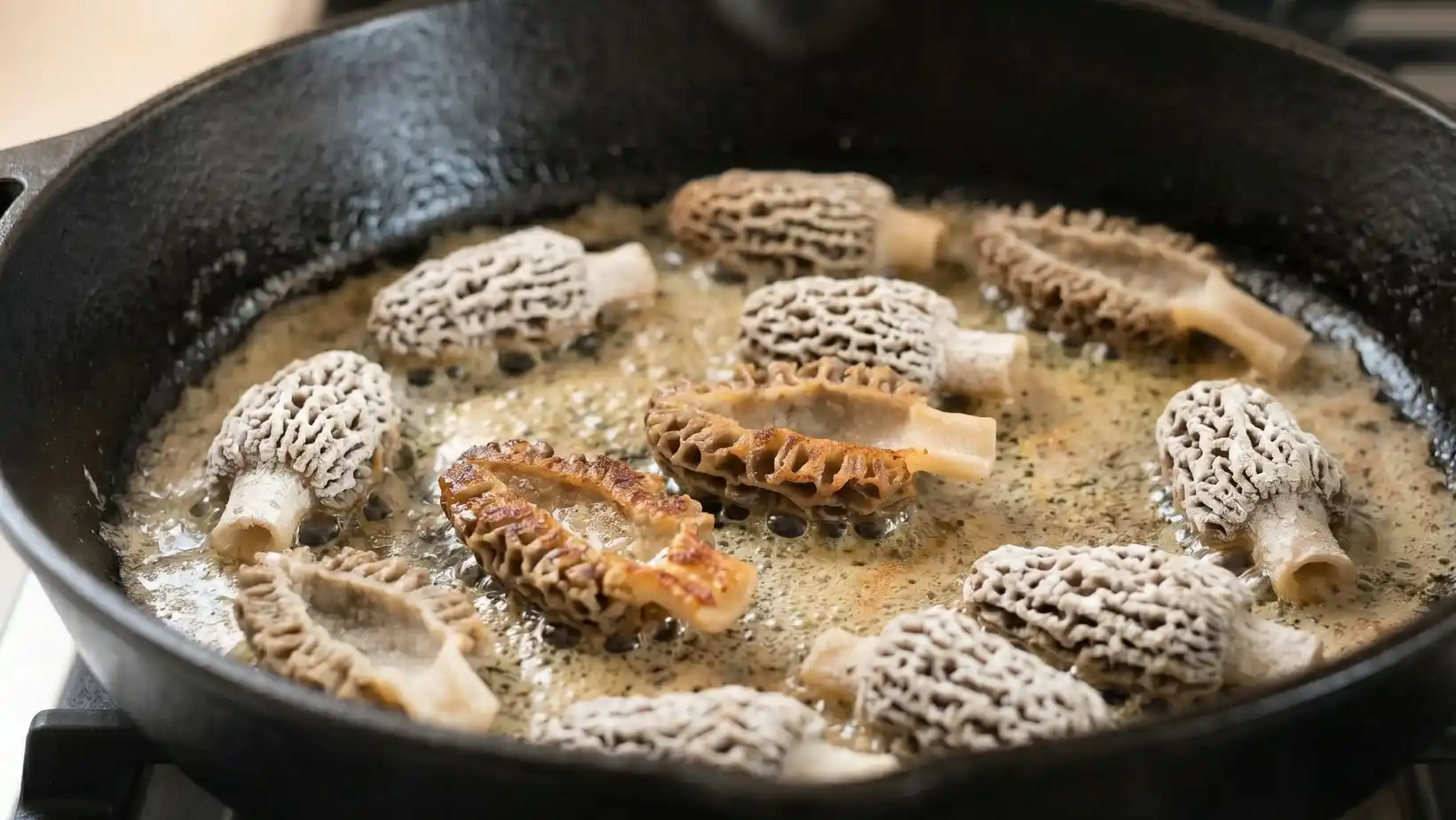 morel mushrooms