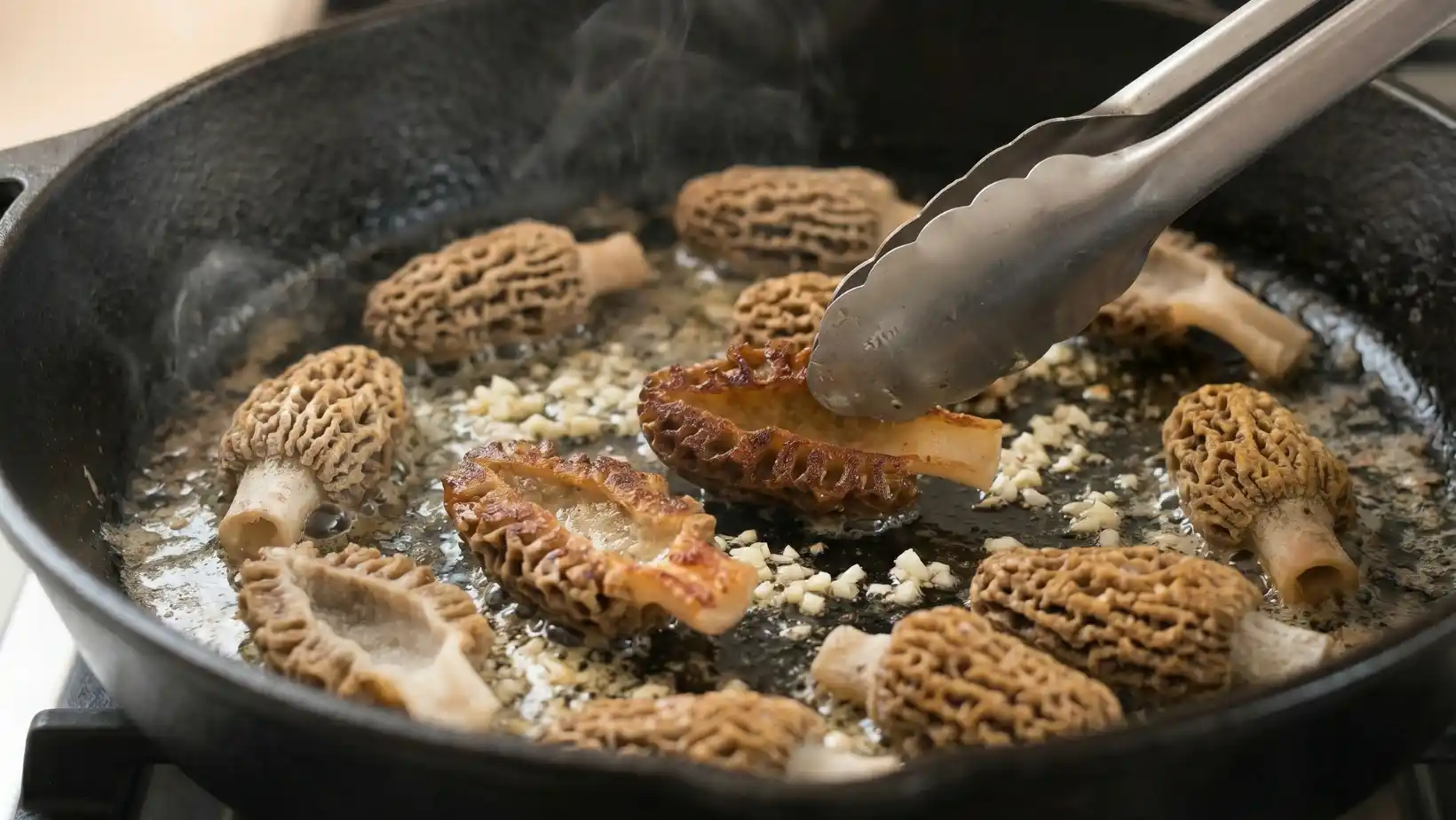 morel mushrooms